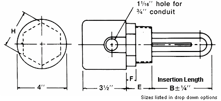 1" NPT screwplug heater diagram